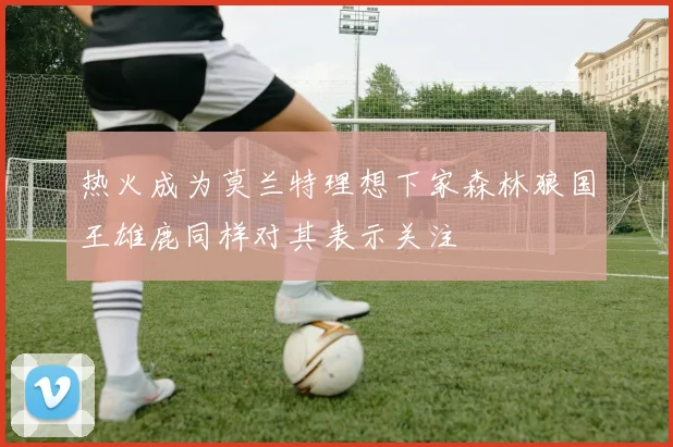 热火成为莫兰特理想下家森林狼国王雄鹿同样对其表示关注