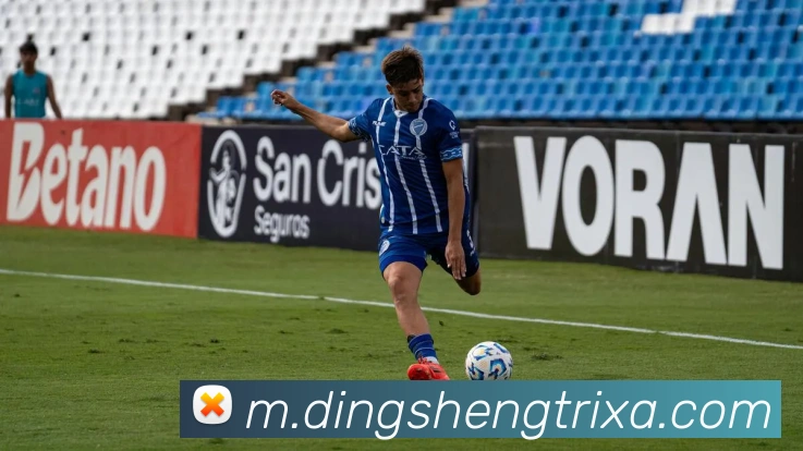 顶盛体育服务体系